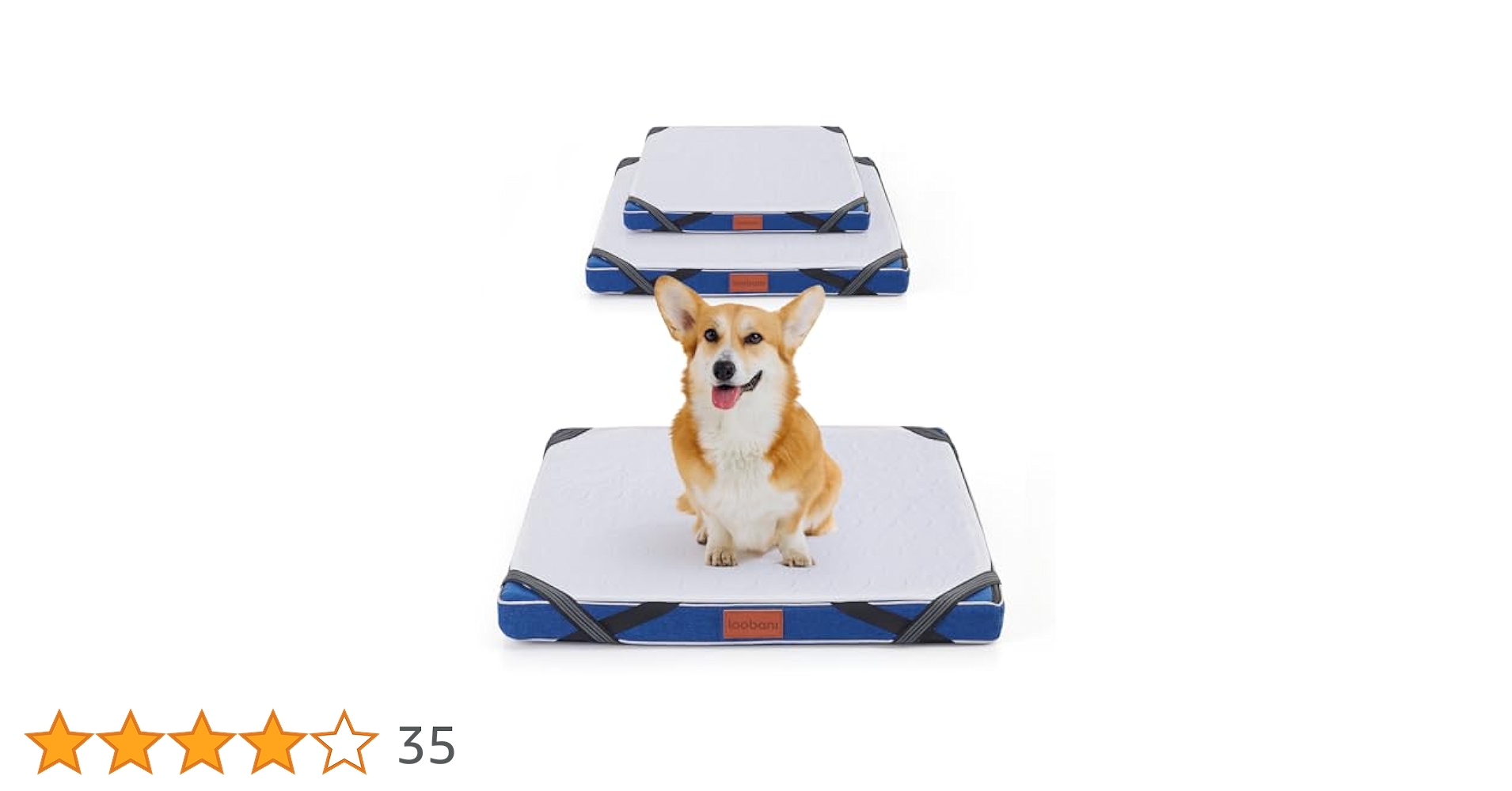 犬用介護用ベット 犬用介護用ベット dショッピング |介護用 ドッグベッド Mサイズ